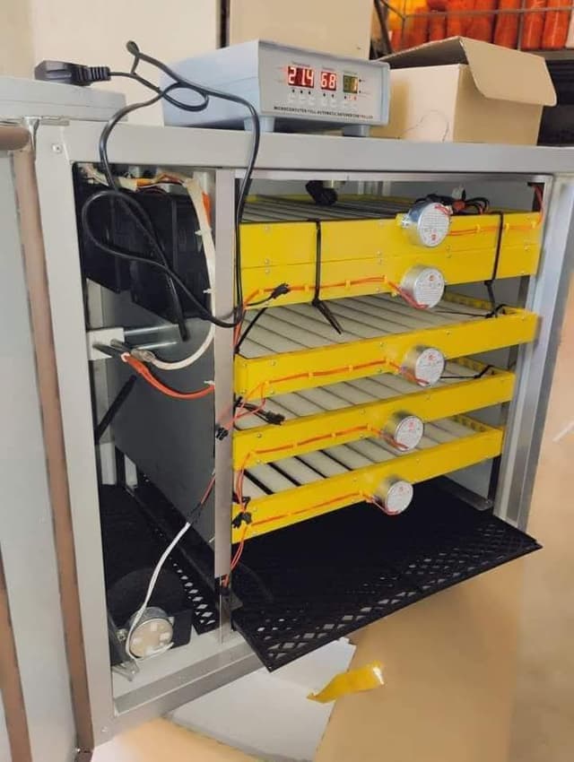 ac dc incubator 300egg capacity 